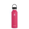 Hydro Flask 21 oz Bottle – Standard Mouth